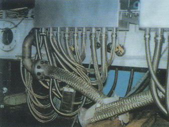 ����鿴��