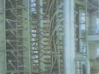 ����鿴��