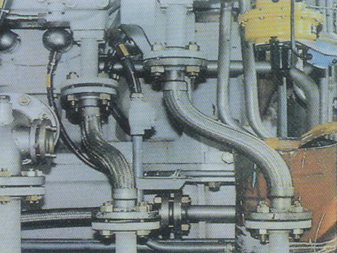 ����鿴��